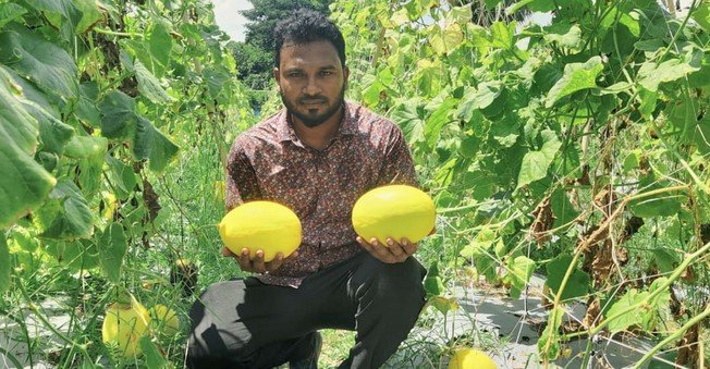 চাকরি ছেড়ে কৃষিকাজ, তরুণ উদ্যোক্তা ফয়সালের বছরে আয় ১৩ লাখ